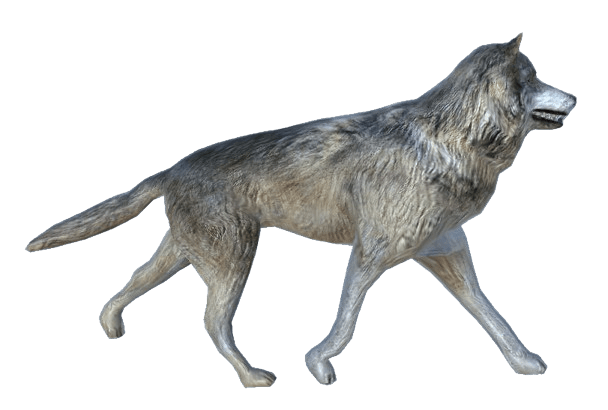 wolf-removebg-preview